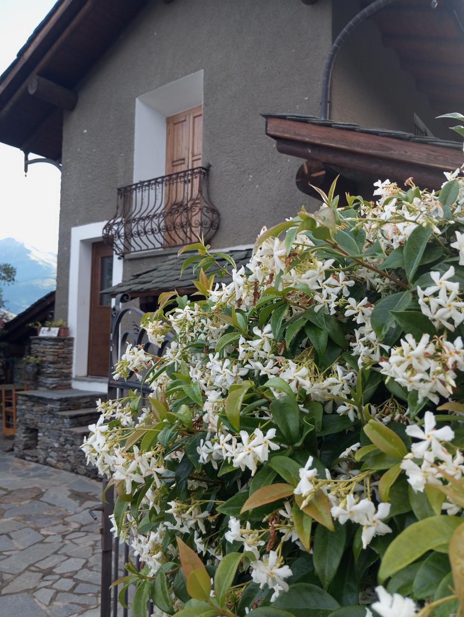 Rosina House E Chalet Colico Esterno foto